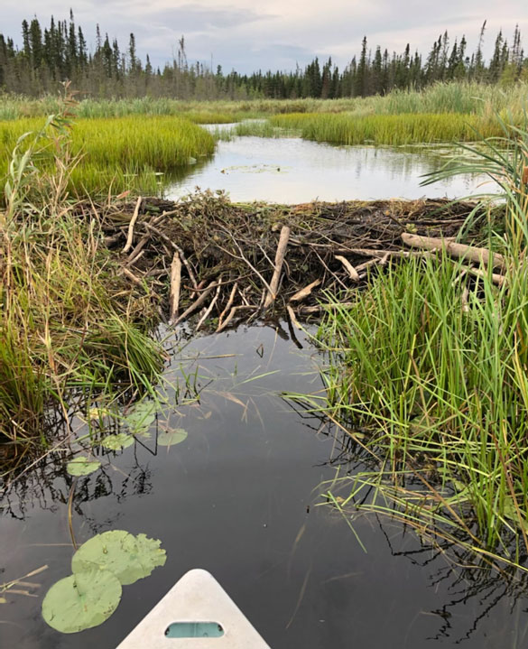 Fishing - Rainy Lake Sports and Tackle